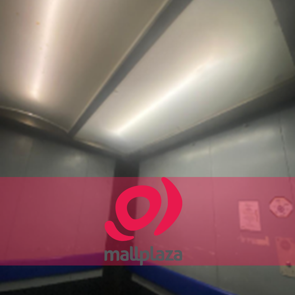 Descripción de la imagen 5 del año 2025