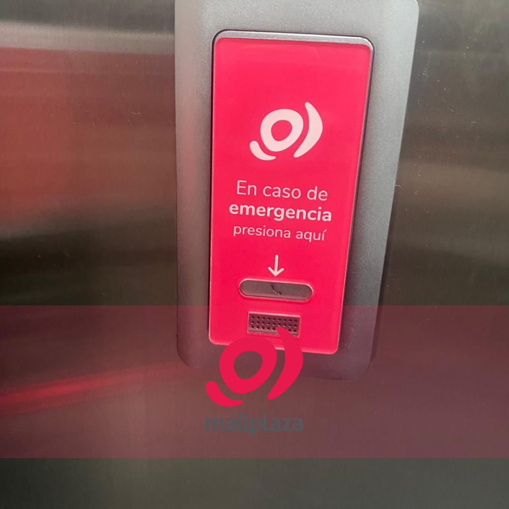 Descripción de la imagen 5 del año 2025