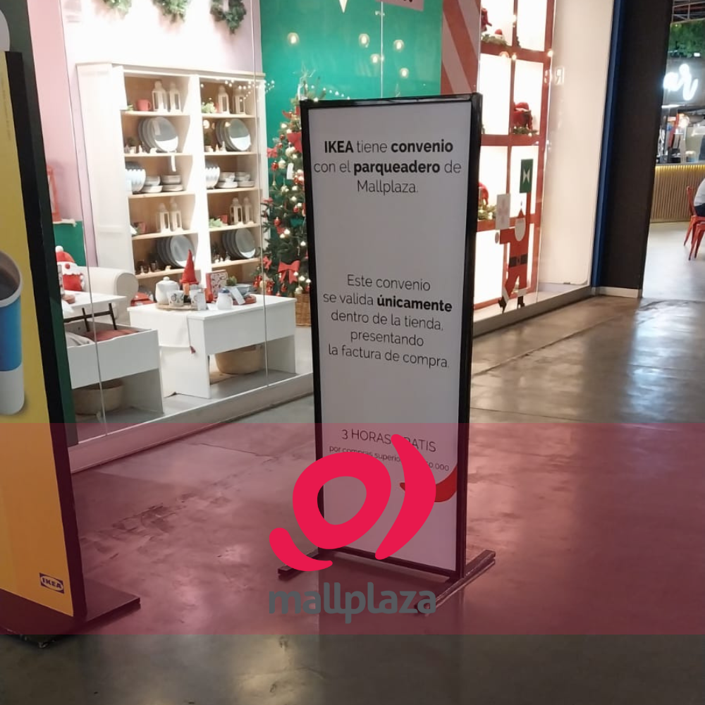 Descripción de la imagen 3 del año 2025