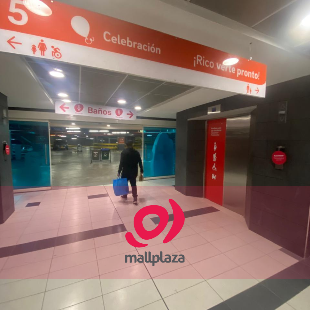 Descripción de la imagen 3 del año 2025