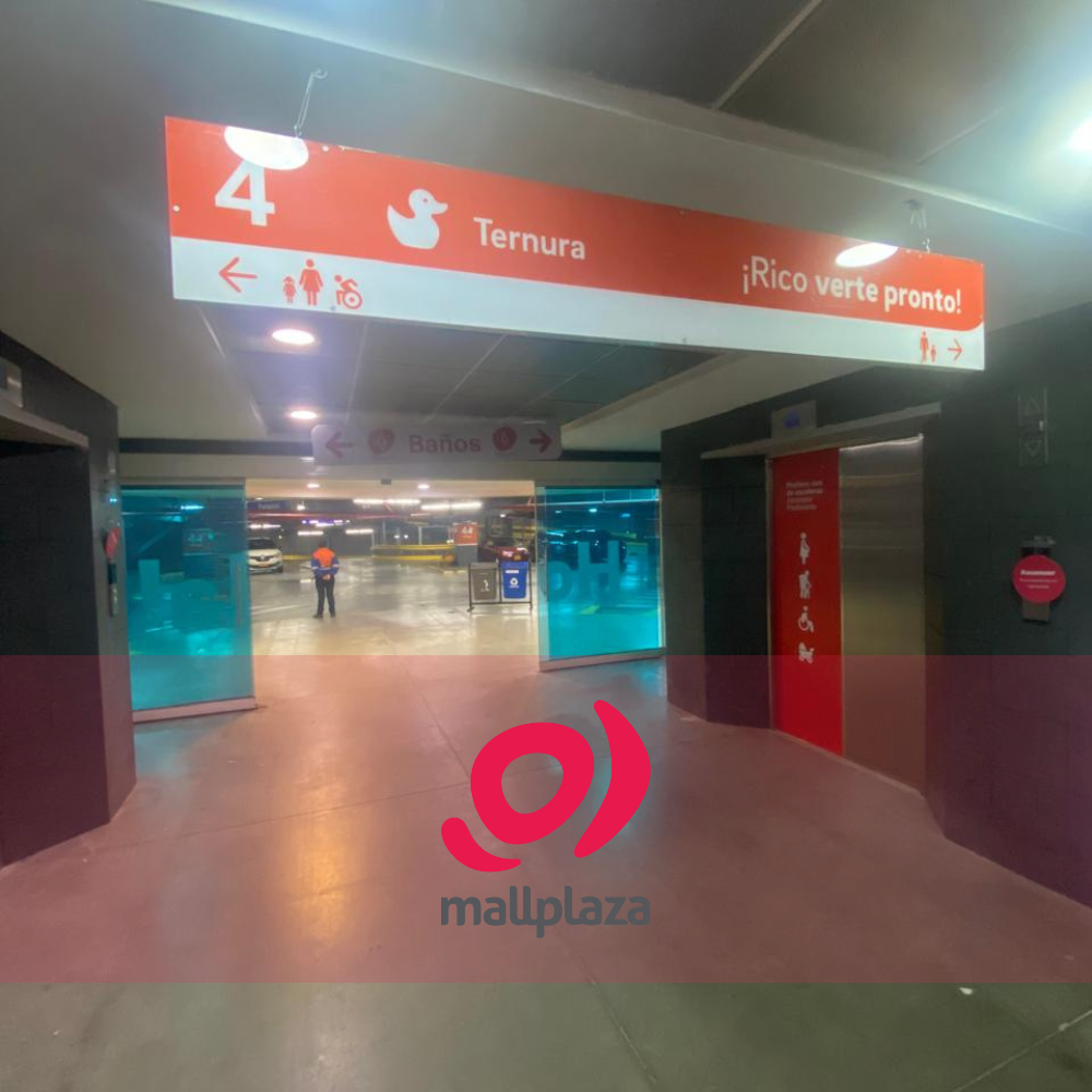 Descripción de la imagen 3 del año 2025