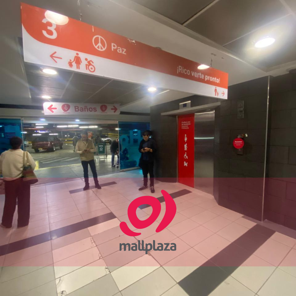 Descripción de la imagen 3 del año 2025